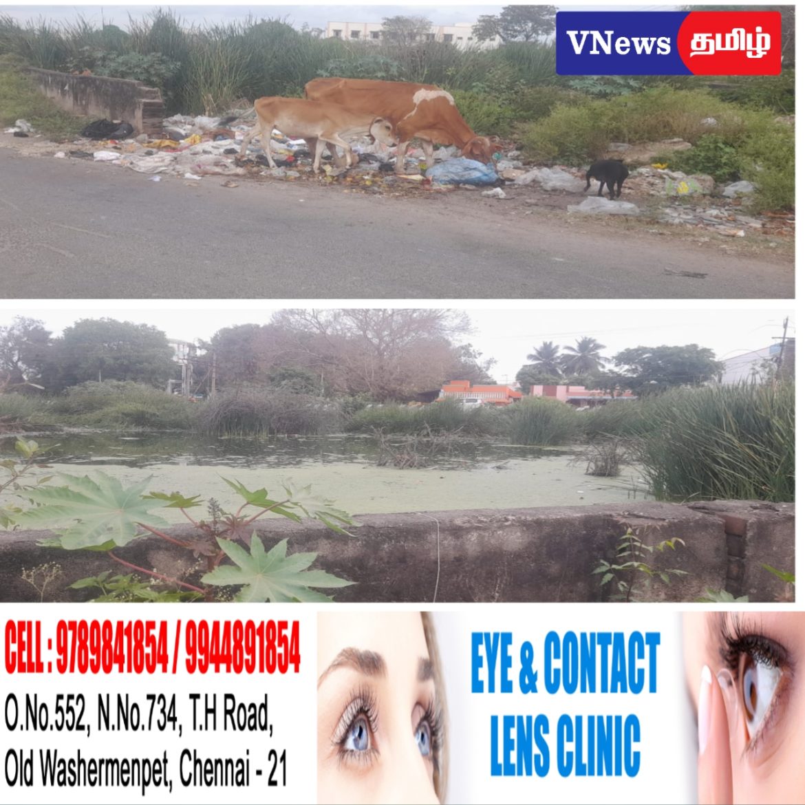 வீதியில் கொட்டப்படும் கோழி இறைச்சி கழிவுகளால் வீசும் துர்நாற்றம்.