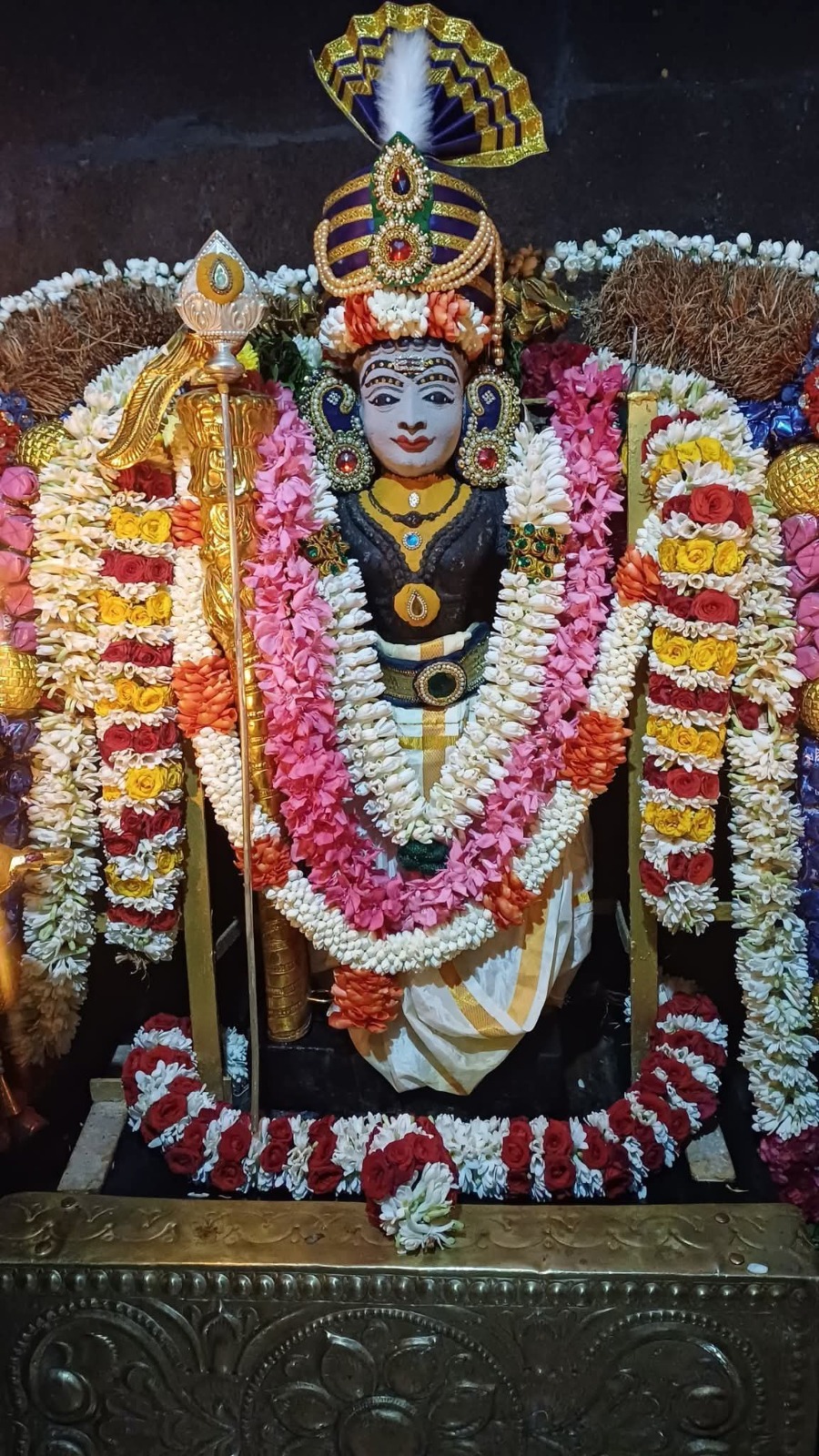 தவளகிரி தண்டாயுதபாணி சுவாமி திருக்கோவிலில் சிறப்பு அபிஷேகம் – ராஜா அலங்கார தரிசனம்