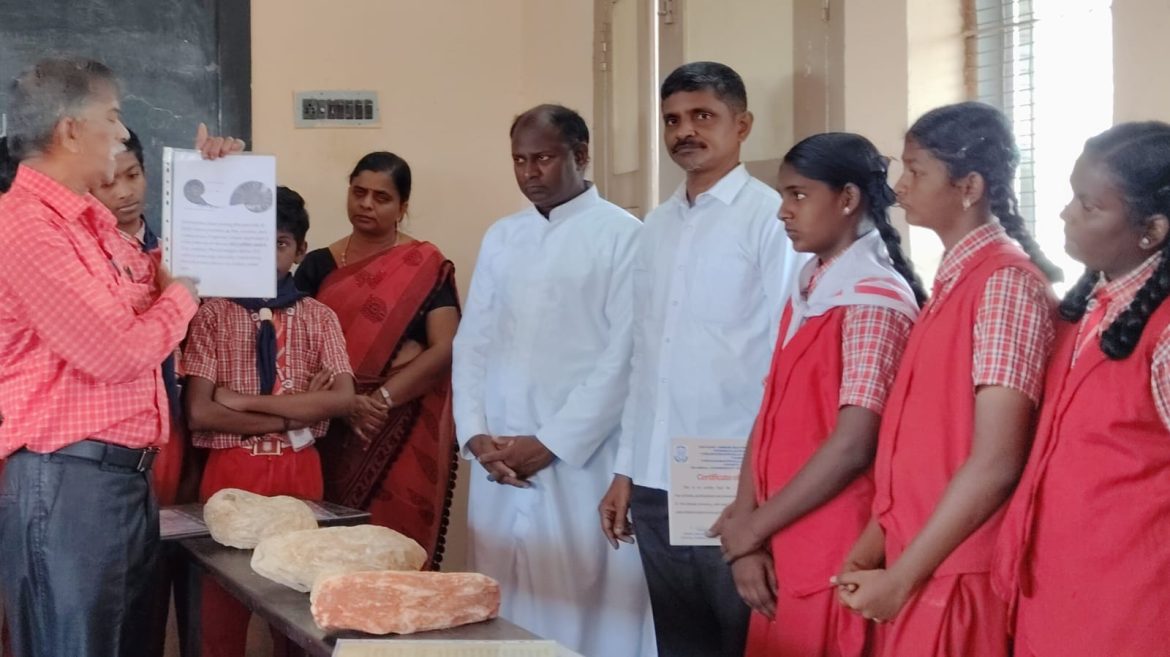 கல்லான உயிரினங்கள்! புதை உயிர் படிமம் என்பது,இறந்த உயிரினங்களின் எச்சங்கள்,