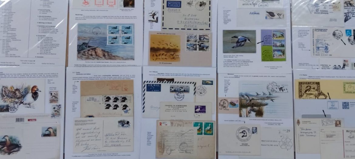 நீர் பறவைகள் குறித்த தபால் தலை கண்காட்சி