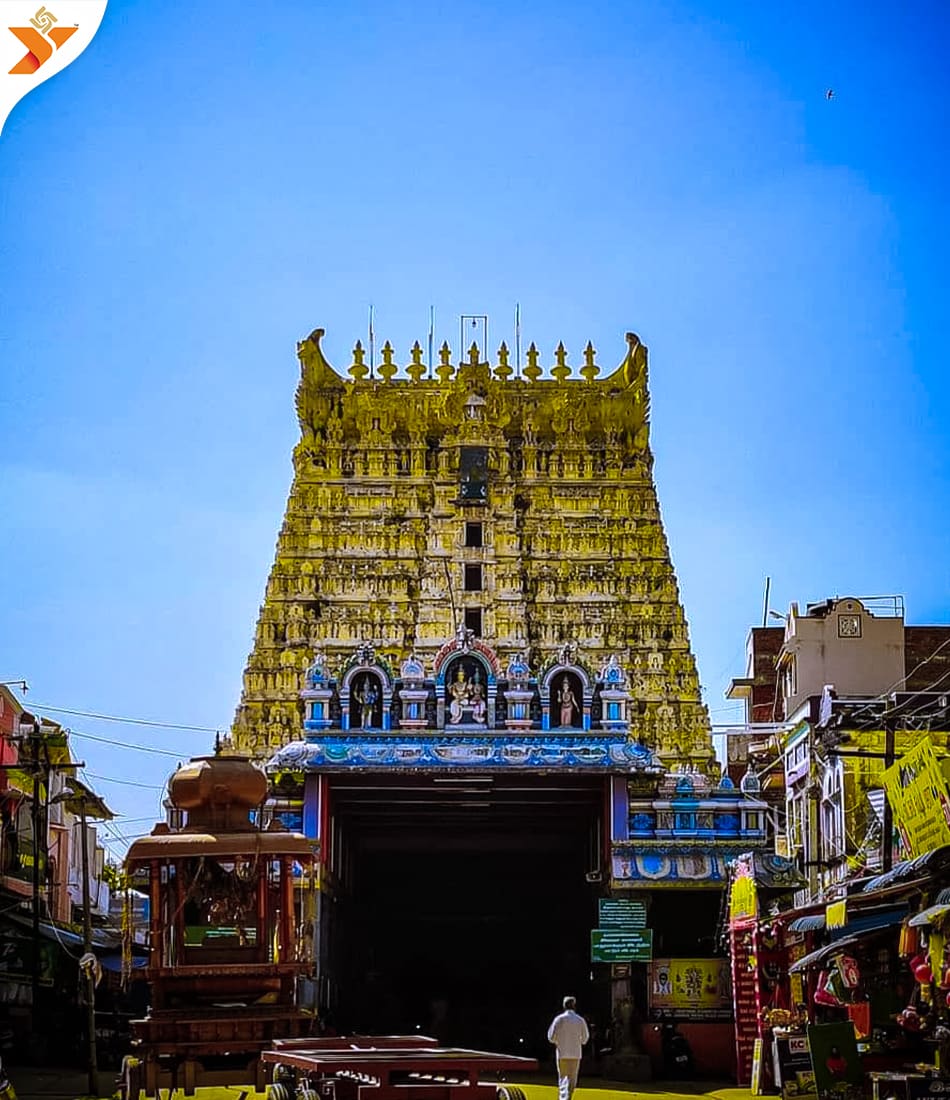 சங்கரன்கோவிலில் தேரோட்டம்: ஆயிரக்கணக்கான பக்தர்கள் பங்கேற்பு