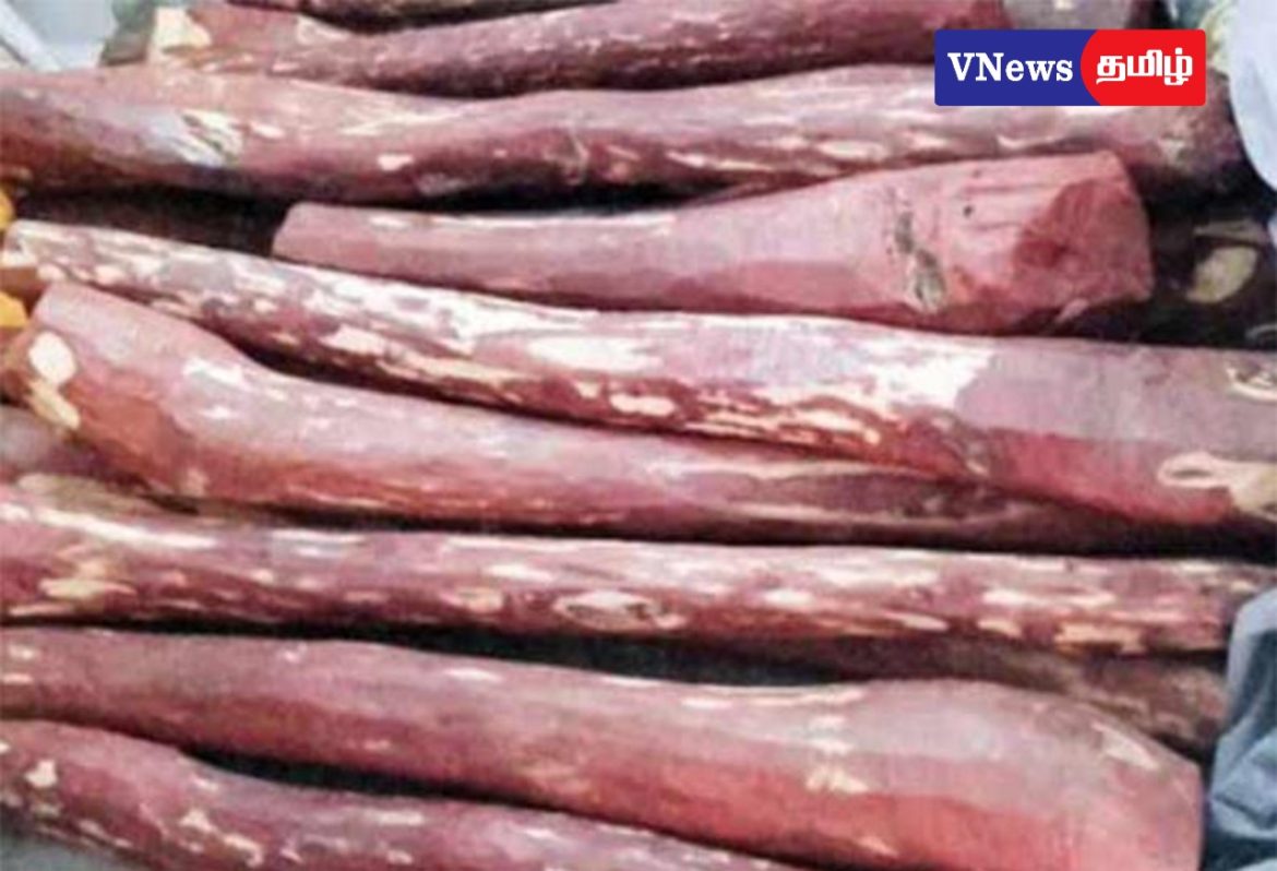 திருப்பத்தூர் அருகே ஒரு டன் செம்மரக்கட்டைகள் பறிமுதல்