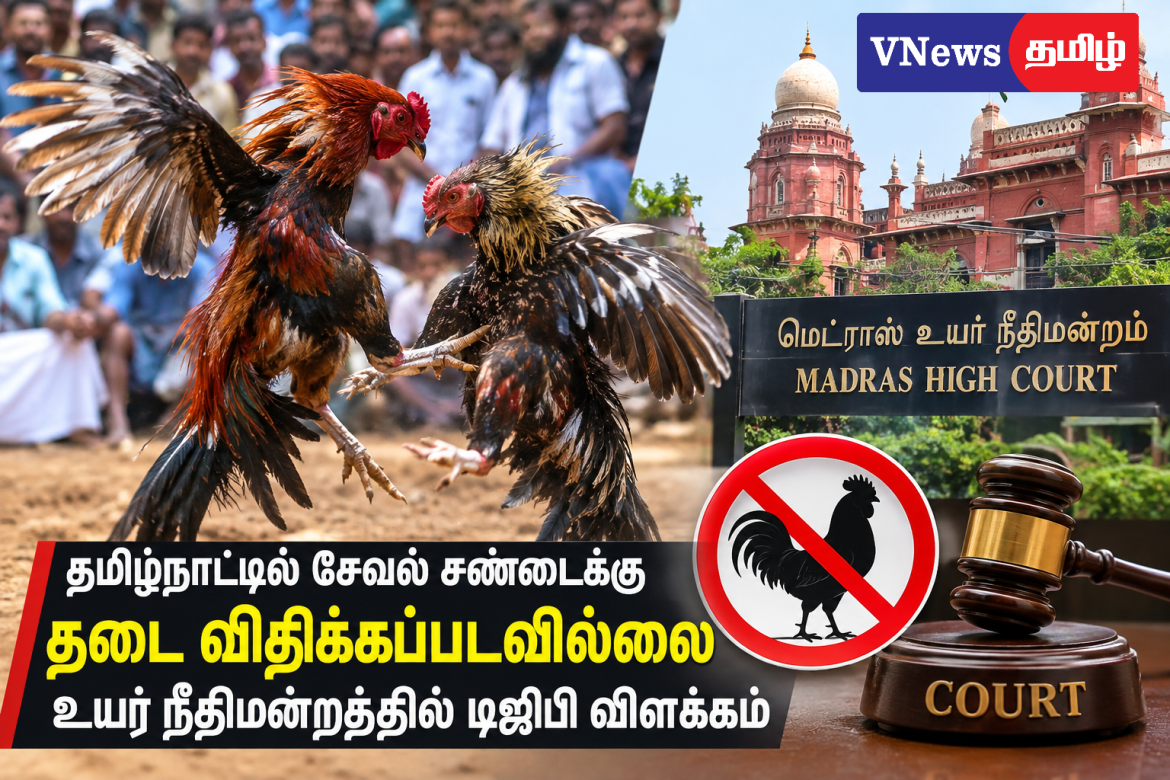 சேவல் சண்டைக்கு தடை இல்லை  உயர் நீதிமன்றத்தில் டிஜிபி விளக்கம்